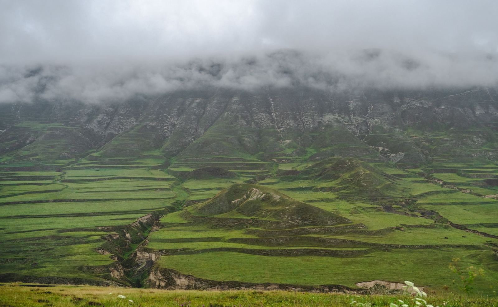 Karadeniz Yaylaları Turu